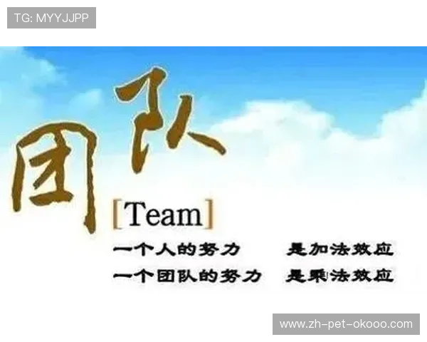 广州篮球队的默契配合揭秘：团队协作如何成就胜利之路