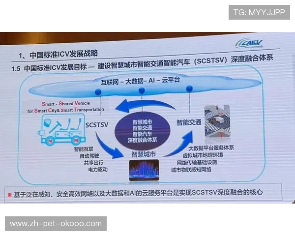 广州篮球队的控制策略与战术分析：深度解读球队发展现状与未来方向
